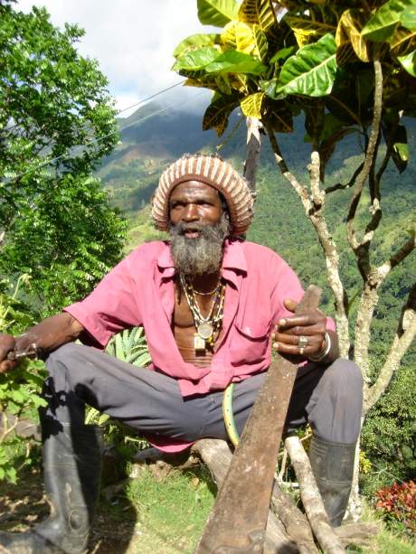 Modré hory - pěstitel kávy. Jamajka